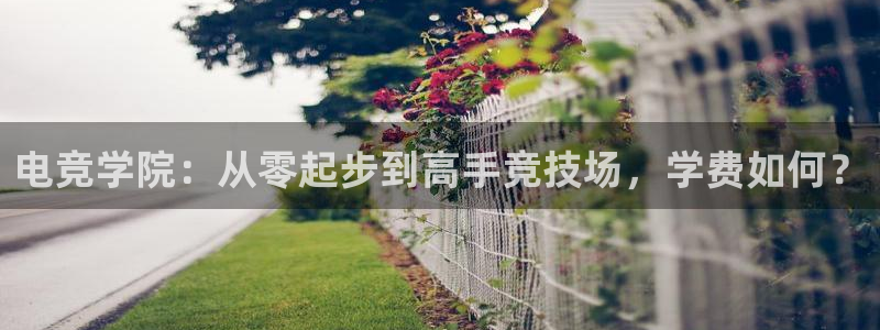 火博电竞网站