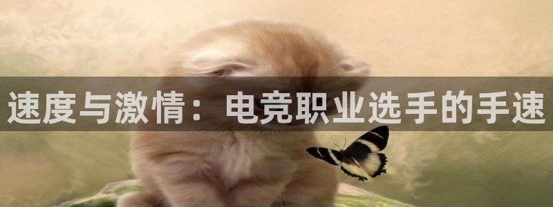 火博电竞