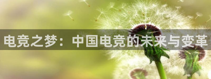 火博电竞网站