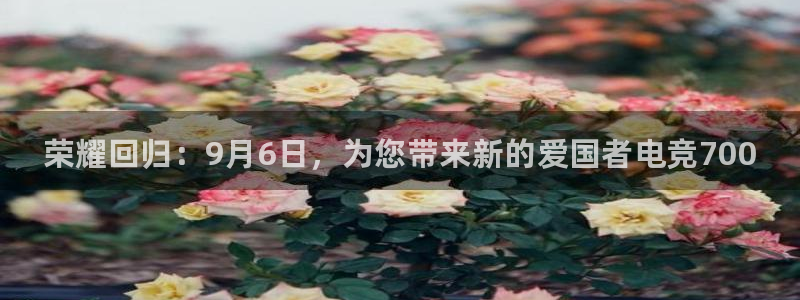 火博电竞