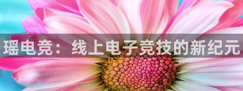 火博电竞网站