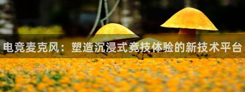 火博电竞