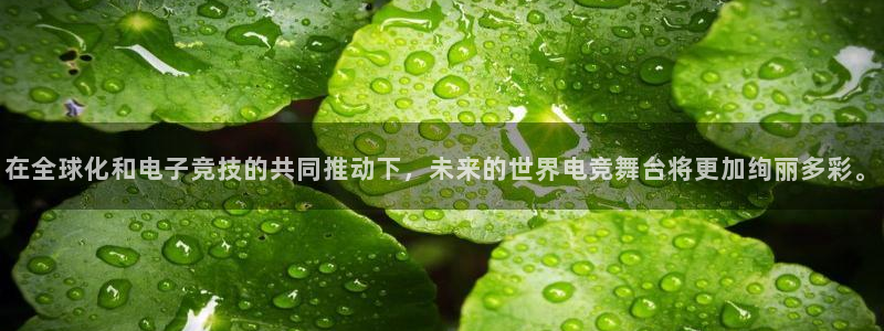 火博电竞网站