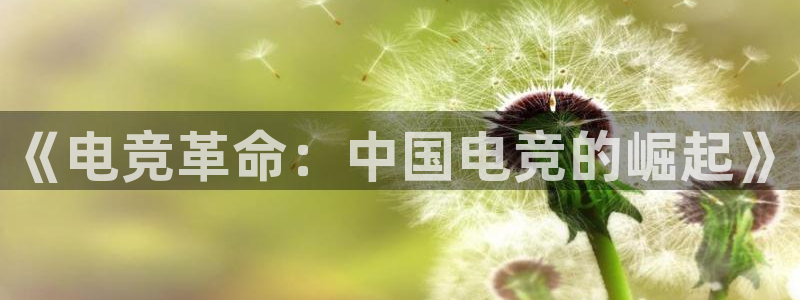 火博电竞app官网网站