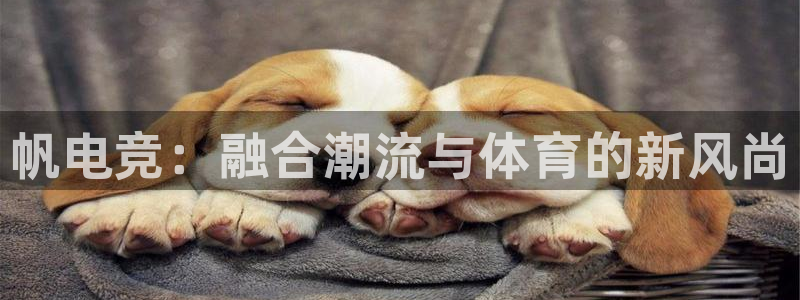 火博电竞