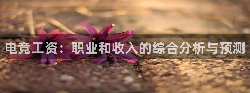 火博电竞app官网网站